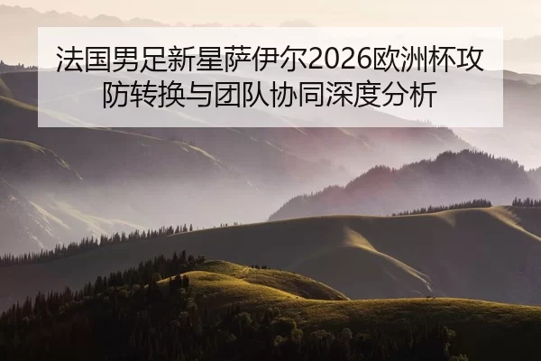 fa-guo-nan-zu-xin-xing-sa-yi-er-ou-zhou-bei-gong-fang-zhuan-huan-yu-tuan-dui-xie-tong-shen-du-fen-xi-2-346.jpg